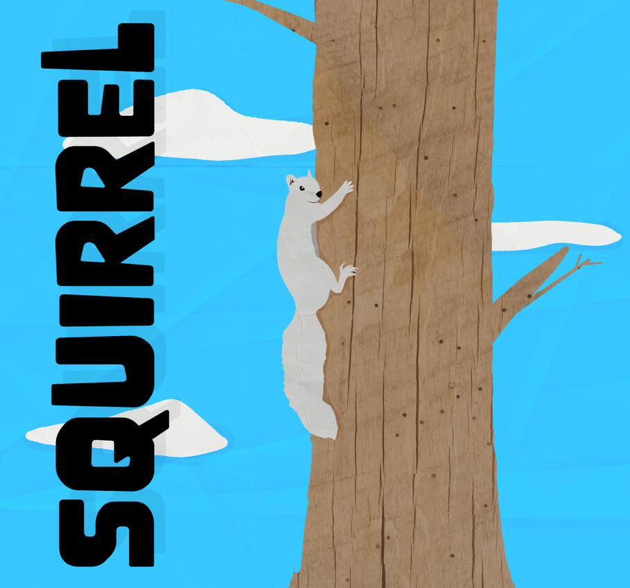 Squirrel